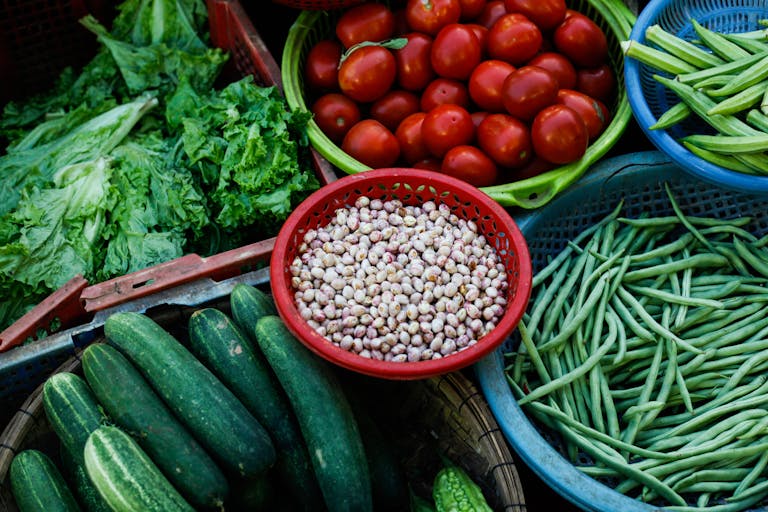From Farm to Table: How Healthy Food Distribution Affects What We Eat